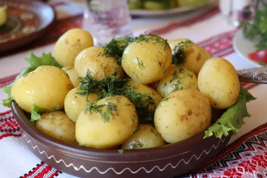 Obiad na jutro? 50+ pomysłów na szybkie, tanie i rodzinne dania!
